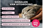 Pupex Catnip Spray | OUT OF STOCK Pupex Catnip Spray | OUT OF STOCK
