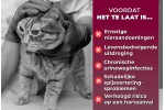 Pupex Catnip Spray | OUT OF STOCK Pupex Catnip Spray | OUT OF STOCK