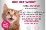 Pupex Catnip Spray | OUT OF STOCK Pupex Catnip Spray | OUT OF STOCK